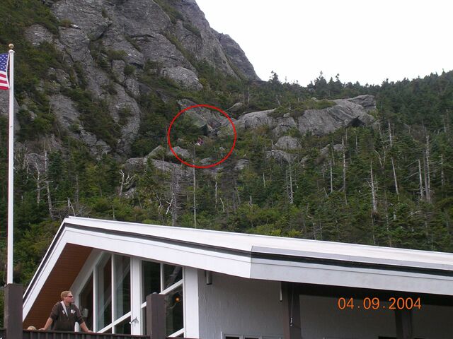 Click to See Next Image