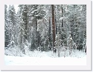 DSCF0516 * 2848 x 2136 * (1.6MB)