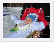 DSCN3861 * 2048 x 1536 * (991KB)