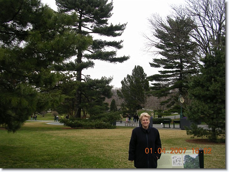 You have reached the last slide