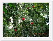 DSCN3983 * 2048 x 1536 * (1.12MB)