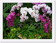 DSCN3992 * 2048 x 1536 * (1018KB)