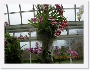 DSCN3993 * 2048 x 1536 * (982KB)