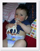 DSCN4012 * 1536 x 2048 * (926KB)