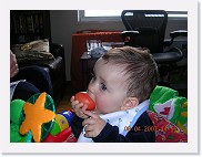 DSCN4032 * 2048 x 1536 * (921KB)