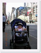 DSCN4139 * 1536 x 2048 * (893KB)