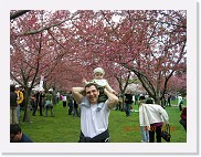 DSCN4247 * 2048 x 1536 * (1.2MB)