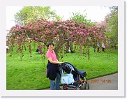 DSCN4294 * 2048 x 1536 * (1.15MB)