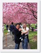 DSCN4337 * 1536 x 2048 * (1.12MB)