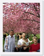 DSCN4338 * 1536 x 2048 * (1.18MB)