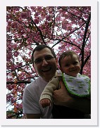 DSCN4342 * 1536 x 2048 * (1.06MB)