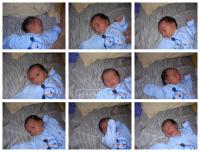 2006-08-11 Pavle day 4 